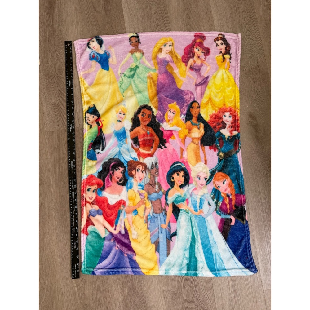 Disney Princess Fleece Throw Blanket Pink Snow White Elsa Belle Moana 24x36